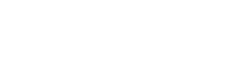 SNAM Alloys Pvt Ltd logo